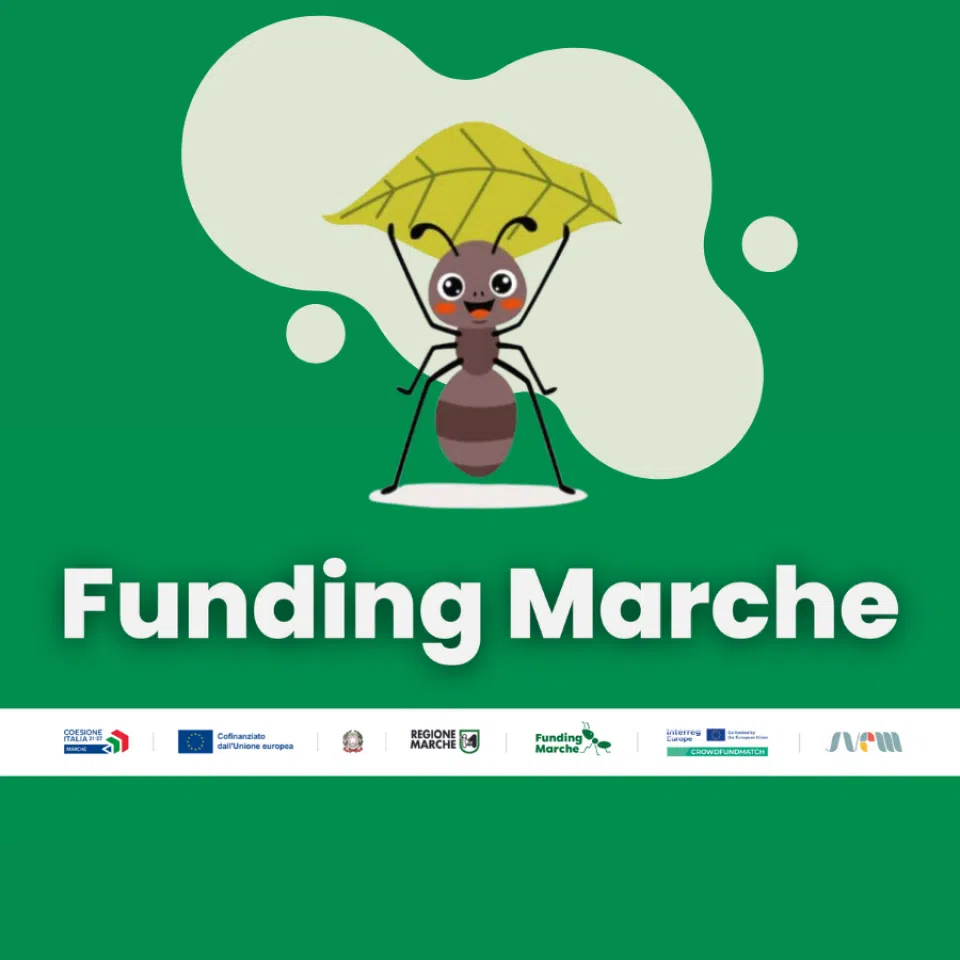 Formica con foglia, Funding Marche